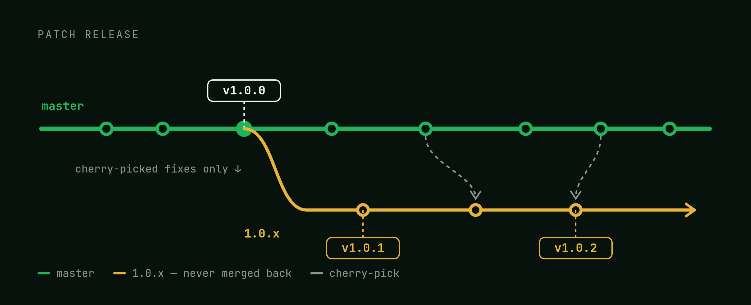 A long-lived 1.0.x patch branch created from a tag, with its own patch release tag